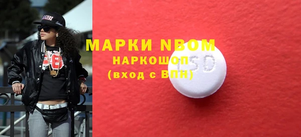 гашик Инта