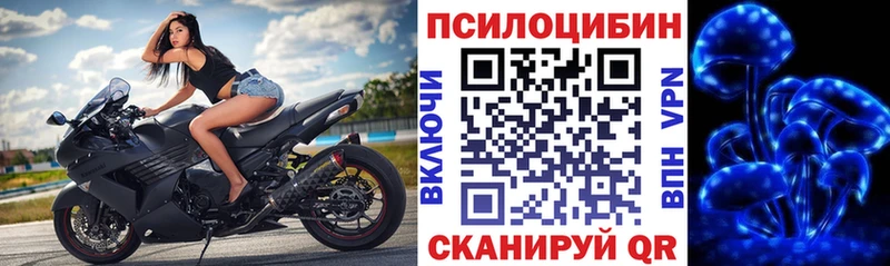 цены Симферополь Галлюциногенные грибы Psilocybe